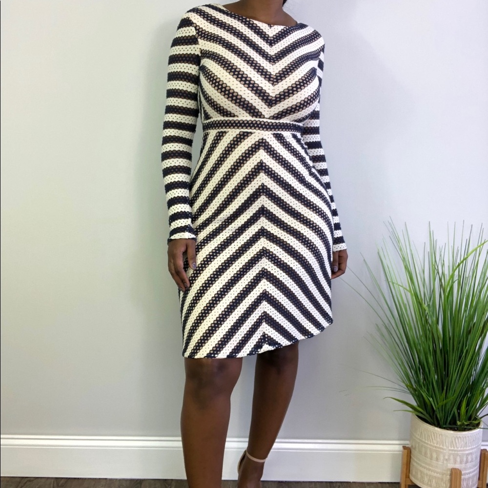 BCBG Azaria Skater Long Sleeve Dress- worn only once